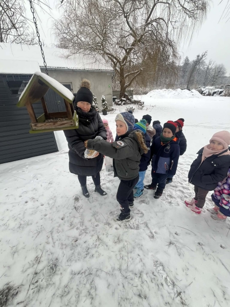 Dokarmiamy ptaki zimą