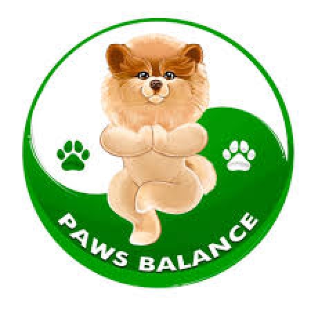 Paws Balance